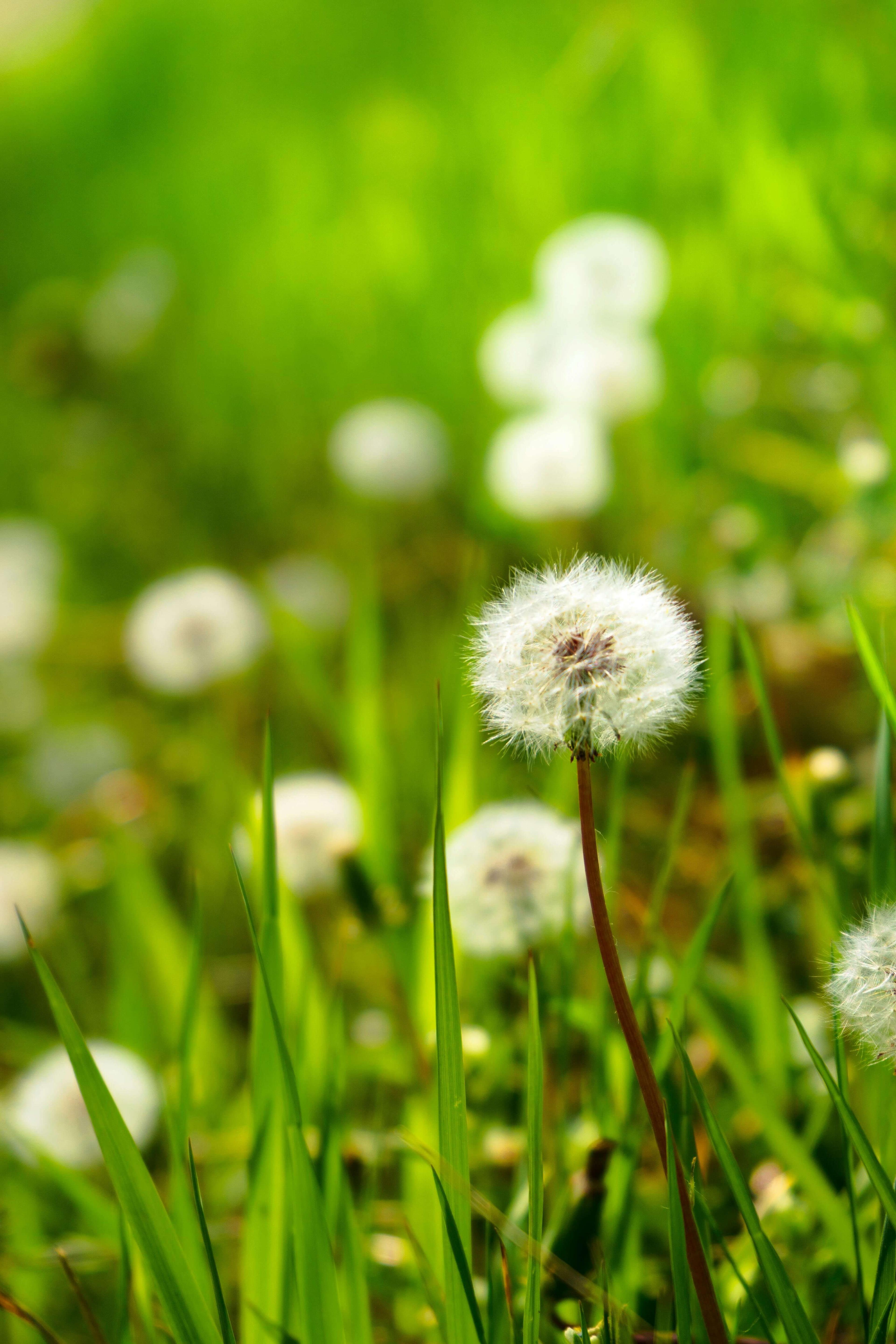 Inhale Deeply, Live Completely!